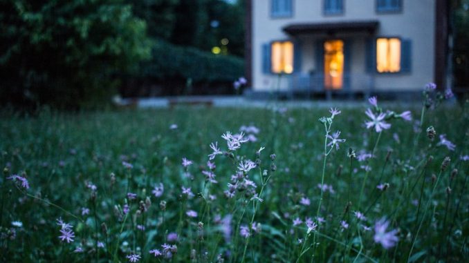 Vanliga misstag vid hårfärgning hemma illustration